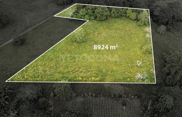 Prodej pozemku pro bydlení, Puerto Jiménez, Kostarika, Calle Los Pollos, 8924 m2