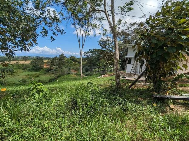 Prodej pozemku pro bydlení, Puerto Jiménez, Kostarika, Calle Los Pollos, 8924 m2