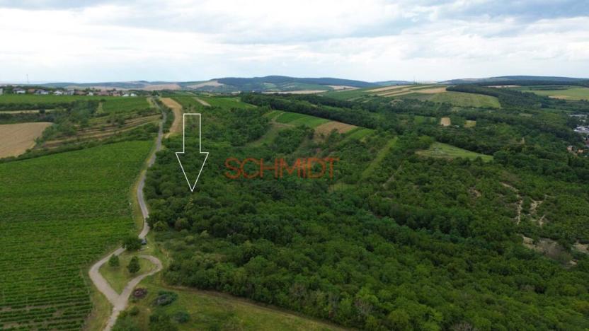 Prodej sadu/vinice, Němčičky, 835 m2