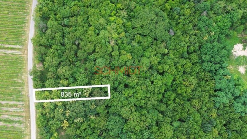 Prodej sadu/vinice, Němčičky, 835 m2