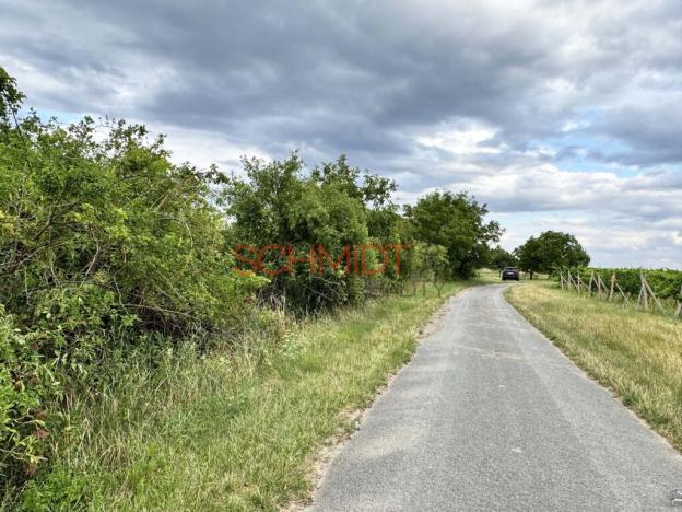 Prodej sadu/vinice, Němčičky, 835 m2