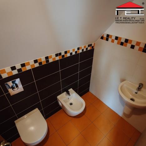 Prodej rodinného domu, Frýdlant nad Ostravicí, Snozina, 286 m2