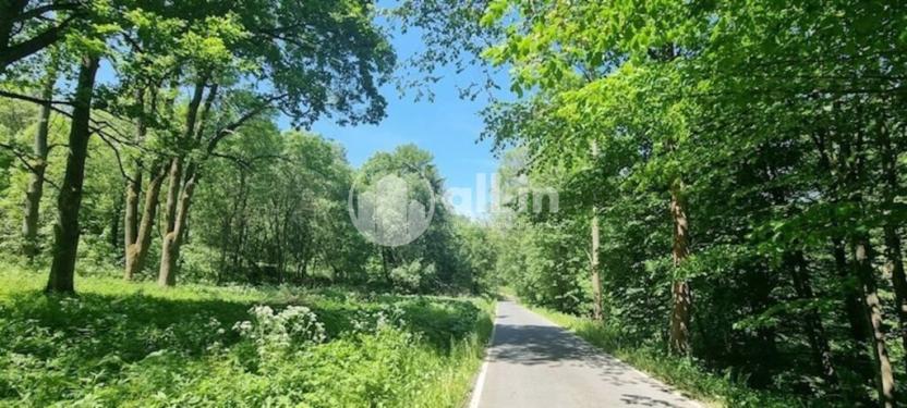 Prodej pozemku pro bydlení, Malá Morava - Vysoký Potok, 1411 m2