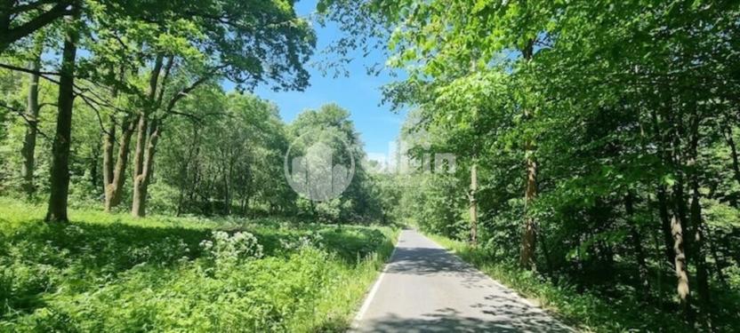 Prodej pozemku pro bydlení, Malá Morava - Vysoký Potok, 1411 m2