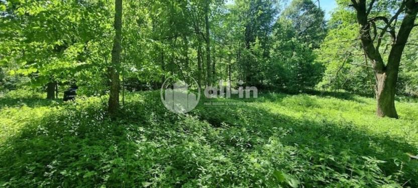 Prodej pozemku pro bydlení, Malá Morava - Vysoký Potok, 1411 m2