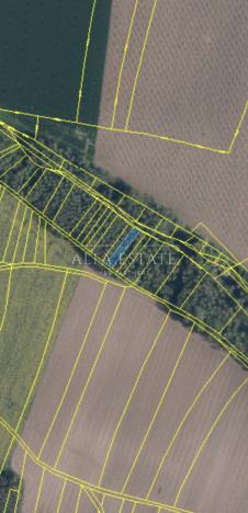 Prodej rodinného domu, Hostín u Vojkovic, 200 m2