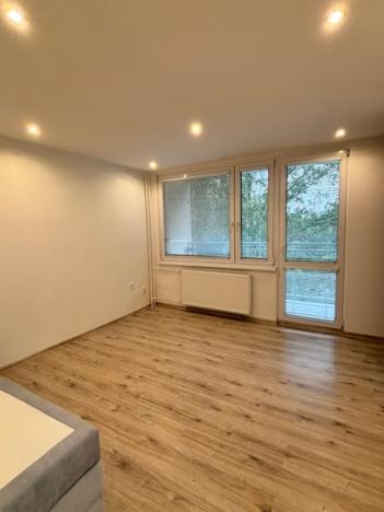 Pronájem bytu 1+kk, Pardubice, Bělehradská, 27 m2