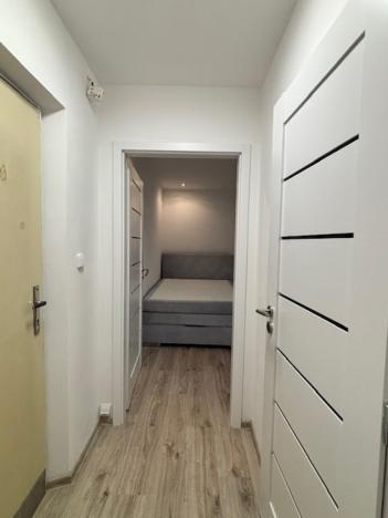 Pronájem bytu 1+kk, Pardubice, Bělehradská, 27 m2