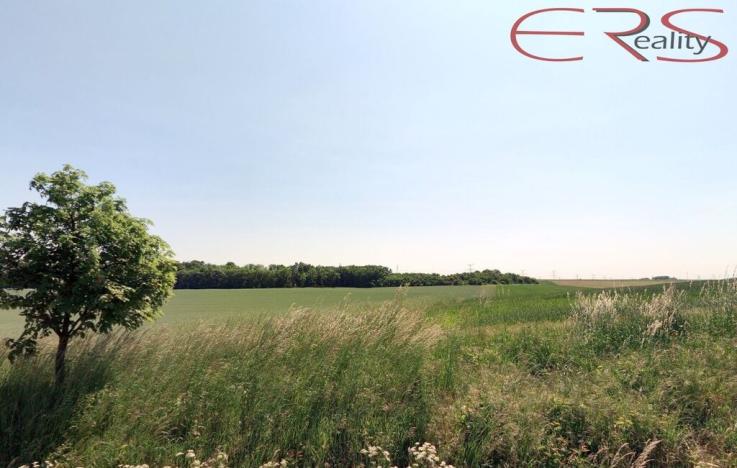 Prodej pole, Čelákovice, 22918 m2