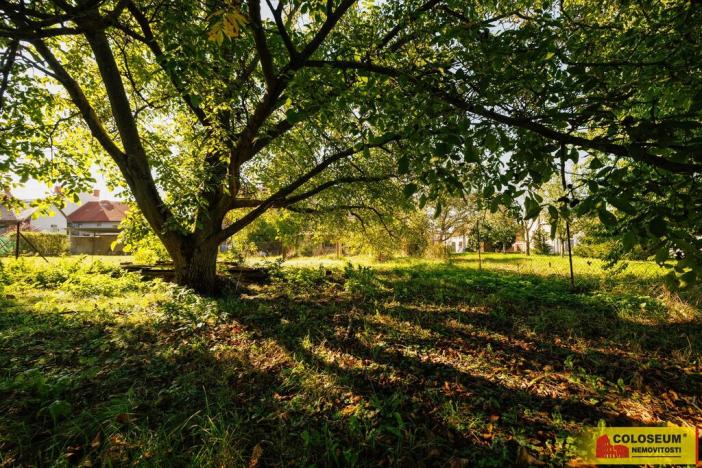 Prodej rodinného domu, Nezamyslice, 83 m2