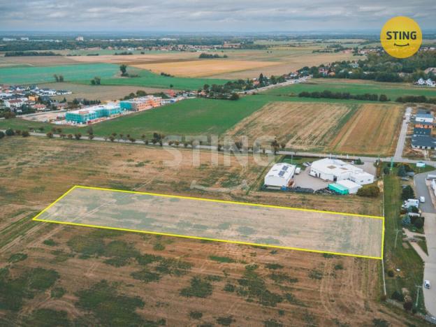 Prodej komerčního pozemku, Mikulovice - Blato, 6059 m2