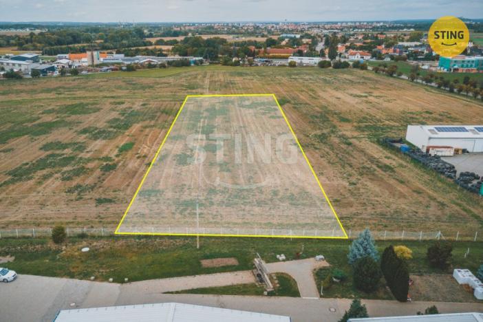 Prodej komerčního pozemku, Mikulovice - Blato, 6059 m2
