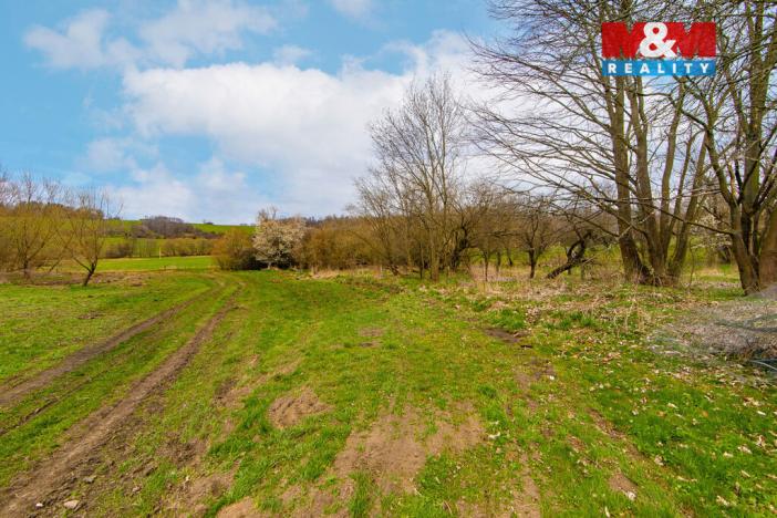 Prodej louky, Strašín, 2200 m2