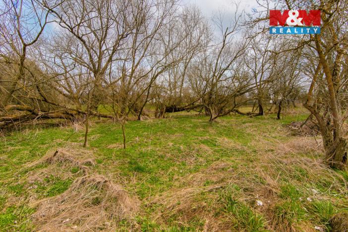 Prodej louky, Strašín, 2200 m2