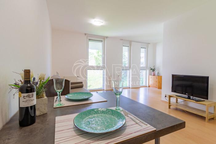 Pronájem bytu 1+kk, Králův Dvůr, Na Horizontu, 30 m2