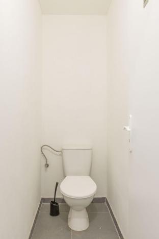 Pronájem výrobních prostor, Zámrsk - Nová Ves, 700 m2