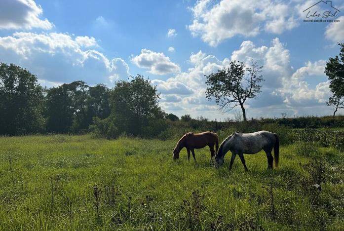 Prodej pozemku pro bydlení, Krušovice, 2750 m2