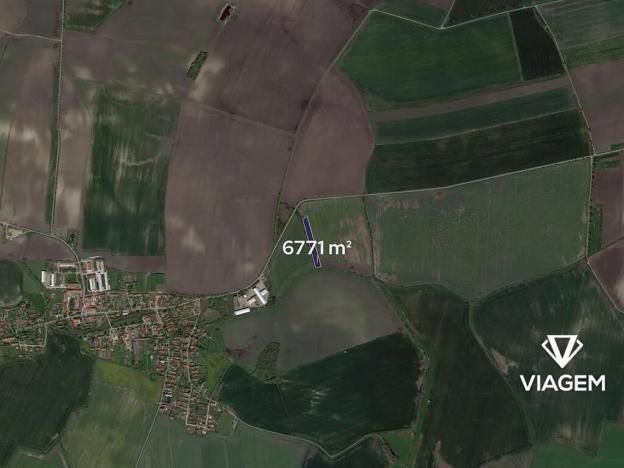 Prodej podílu pole, Záhornice, 241 m2