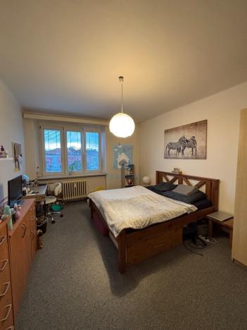 Pronájem bytu 3+1, Plzeň, U Prazdroje, 83 m2