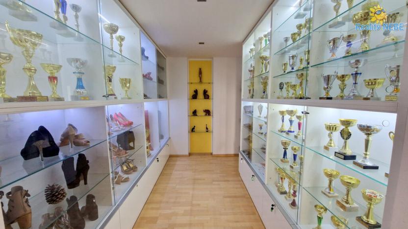 Prodej bytu 4+kk, Brno - Lesná, Majdalenky, 446 m2