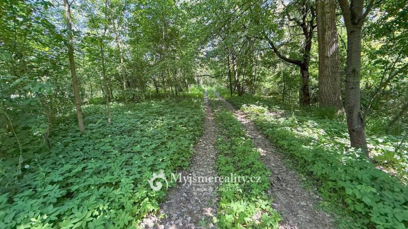 Prodej pozemku, Znojmo - Oblekovice, 8172 m2