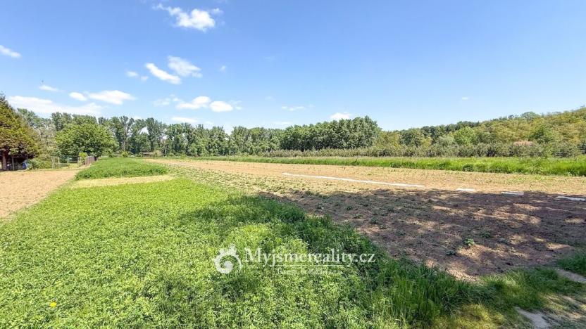 Prodej pozemku, Znojmo - Oblekovice, 8172 m2