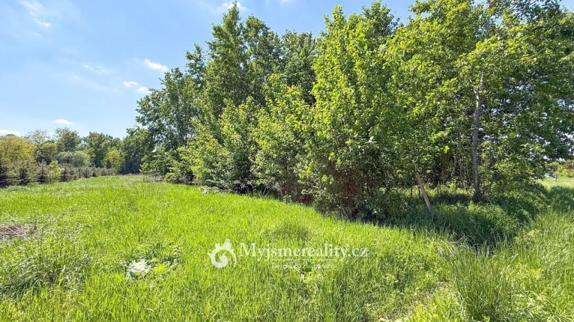 Prodej pozemku, Znojmo - Oblekovice, 8172 m2