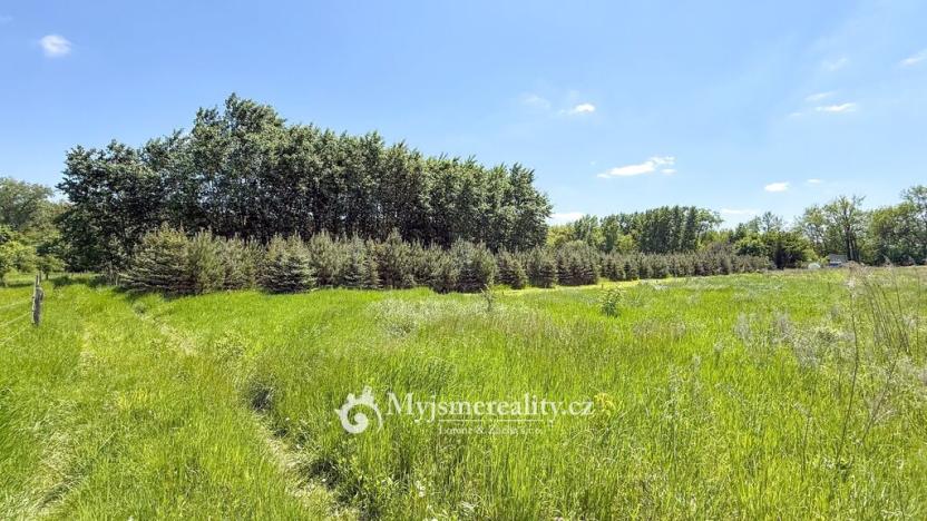 Prodej pozemku, Znojmo - Oblekovice, 8172 m2