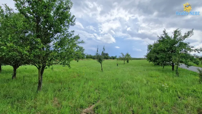 Prodej pozemku pro bydlení, Rešice, 3572 m2