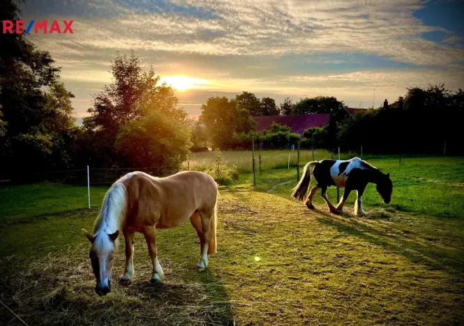 Prodej rodinného domu, Uhelná Příbram - Pukšice, 300 m2