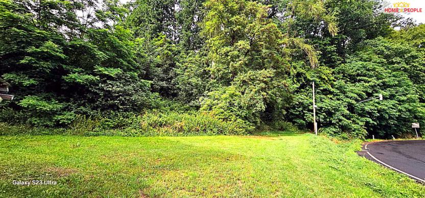 Pronájem bytu 1+kk, Kyselka - Radošov, 21 m2