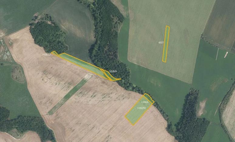 Prodej pole, Džbánice, 6896 m2