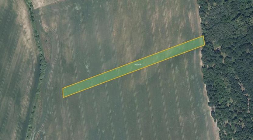 Prodej pole, Džbánice, 6560 m2