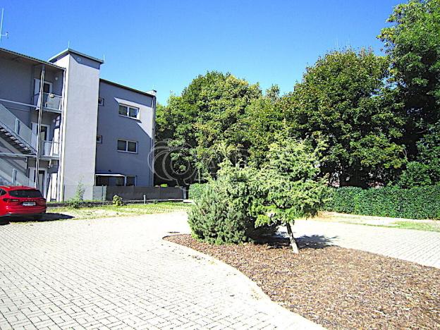 Pronájem bytu 2+kk, Svémyslice, 71 m2