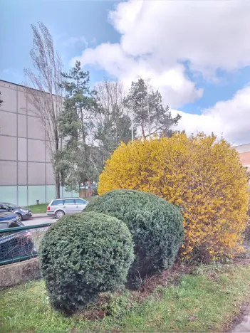 Pronájem bytu 1+kk, Praha - Liboc, Navigátorů, 20 m2