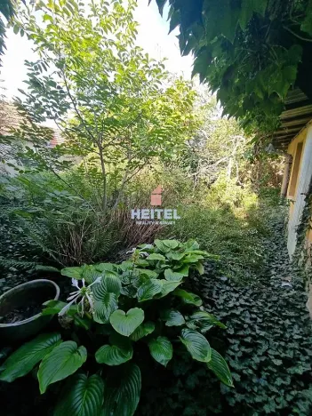 Prodej pozemku pro bydlení, Prušánky, Hodonínská, 804 m2