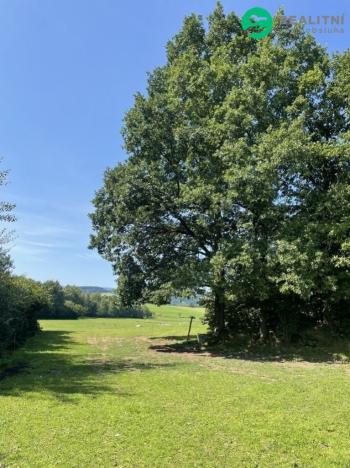 Prodej pozemku pro bydlení, Kolinec - Sluhov, 3805 m2