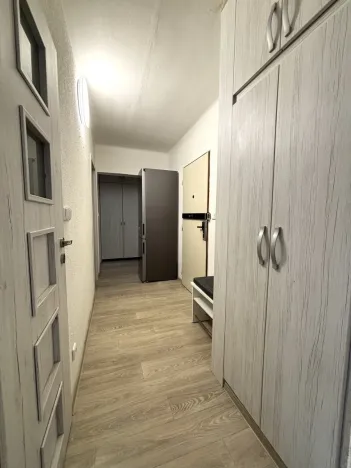 Pronájem bytu 2+1, Plzeň - Lobzy, Rokycanská, 54 m2