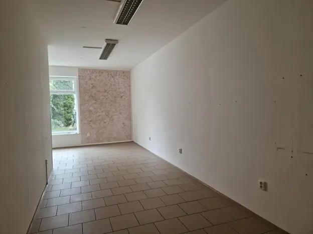 Prodej obchodního prostoru, Hodonín, Cihlářská čtvrť, 61 m2