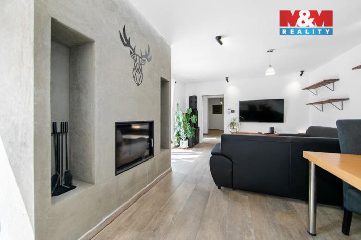 Prodej rodinného domu, Zruč-Senec - Zruč, 220 m2