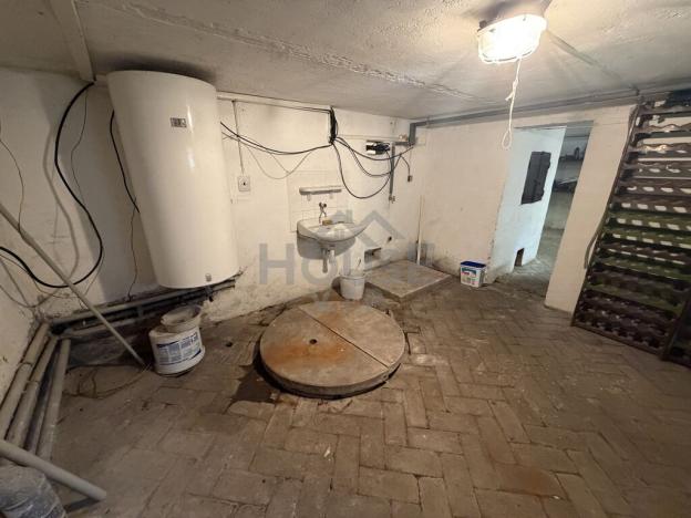 Prodej vícegeneračního domu, Družec, V Zátiší, 186 m2