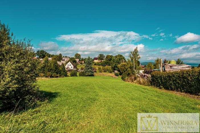 Prodej pozemku pro bydlení, Chudenín - Skelná Huť, 3321 m2