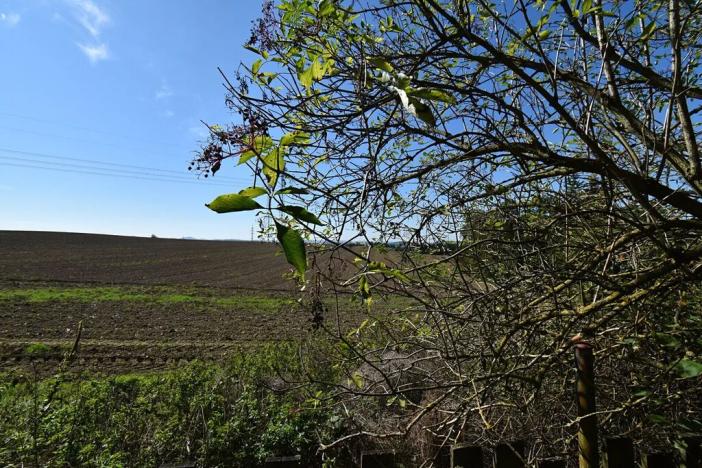 Prodej chaty, Přestavlky u Čerčan, 50 m2