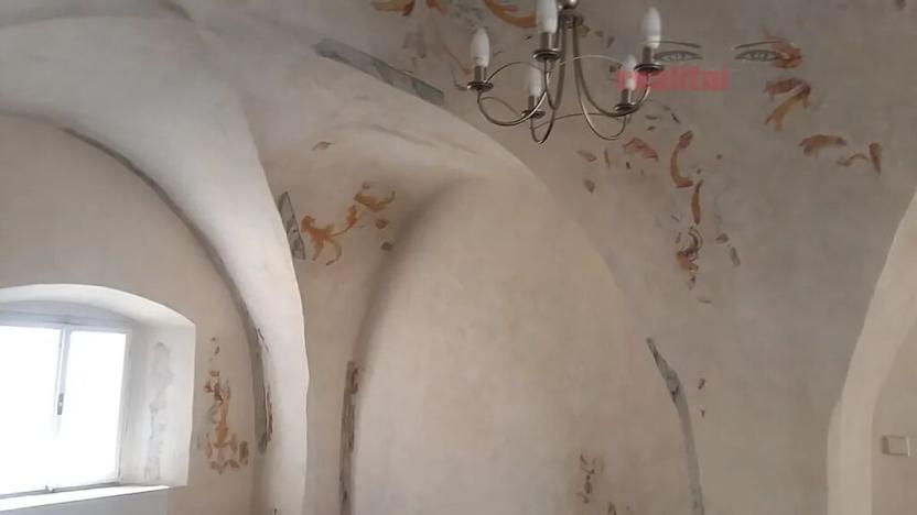 Prodej obchodního prostoru, Jihlava, Palackého, 490 m2