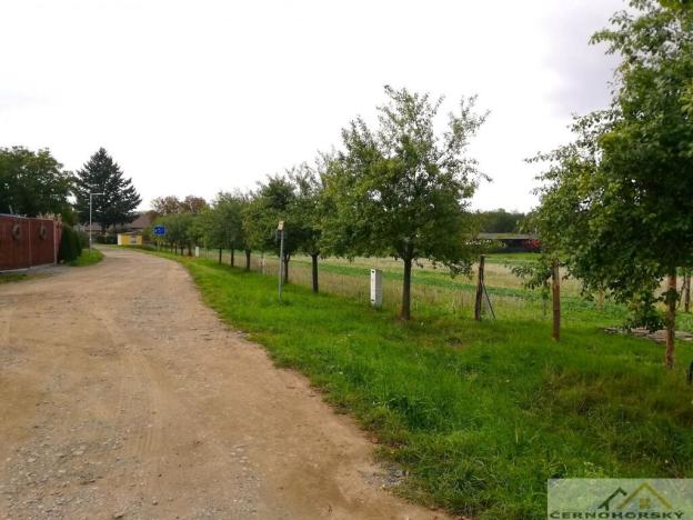 Prodej pozemku pro bydlení, Kolešovice, 985 m2