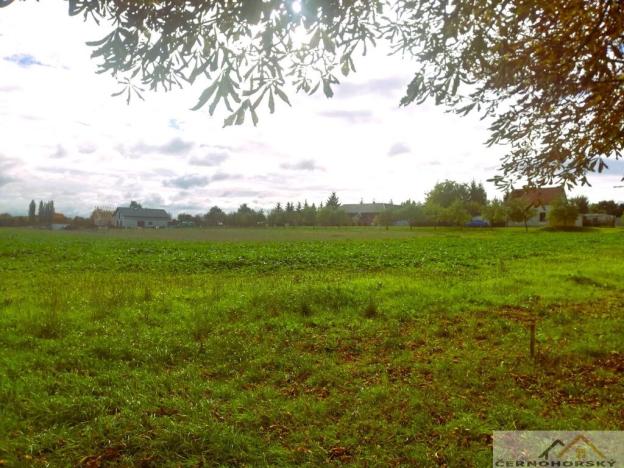 Prodej pozemku pro bydlení, Kolešovice, 985 m2