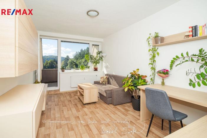 Prodej bytu 2+kk, Všemina, 45 m2