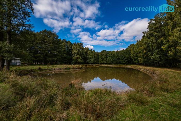 Prodej komerčního pozemku, Cheb, 86573 m2