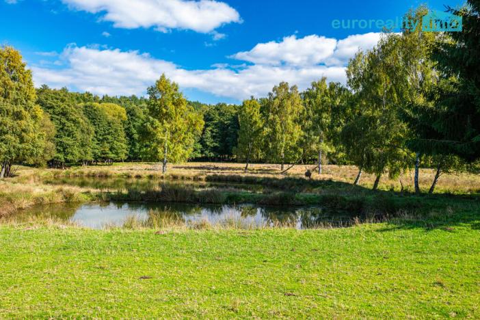 Prodej komerčního pozemku, Cheb, 86573 m2
