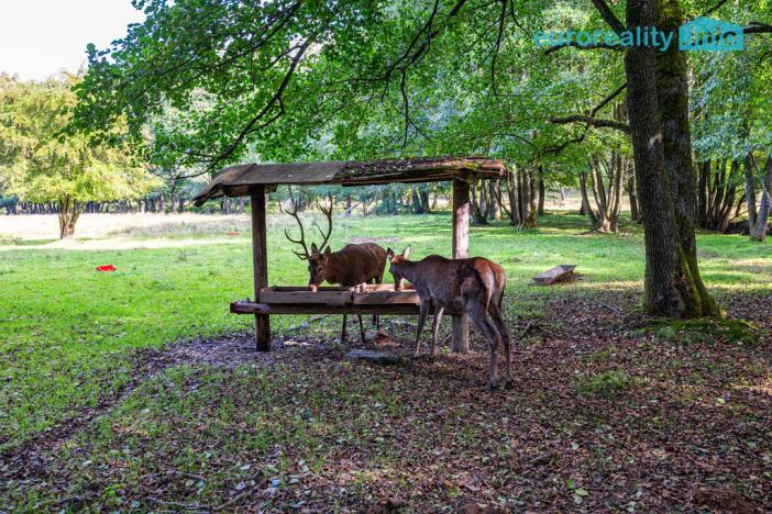 Prodej komerčního pozemku, Cheb, 86573 m2